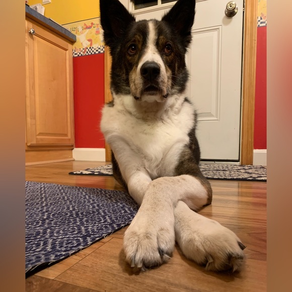 Meet your Posher, Karen - Picture 5 of 7